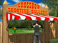 Crossbow Shooting Gallery